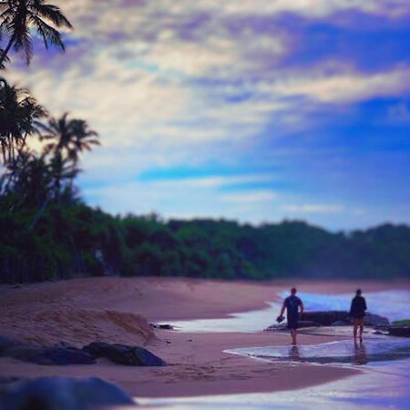 Amour At Turtle Beach Bed & Breakfast แทนกาลเล ภายนอก รูปภาพ